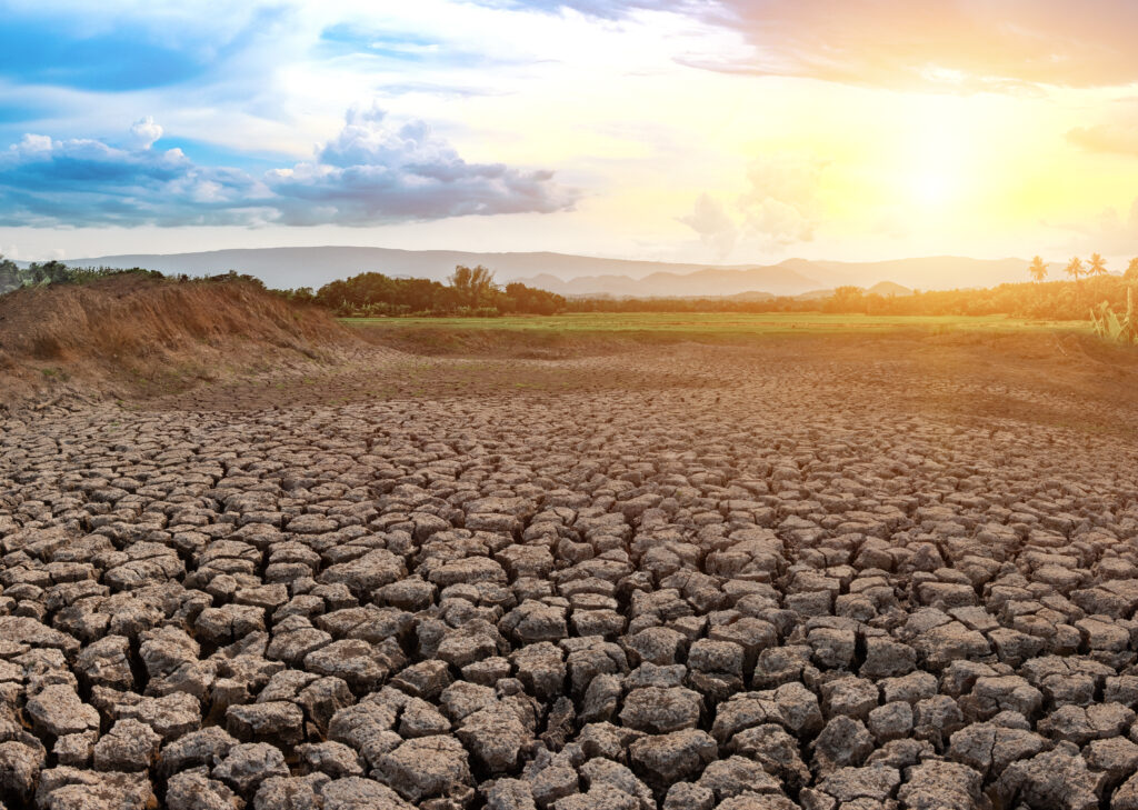 Datos y cifras clave del cambio climático