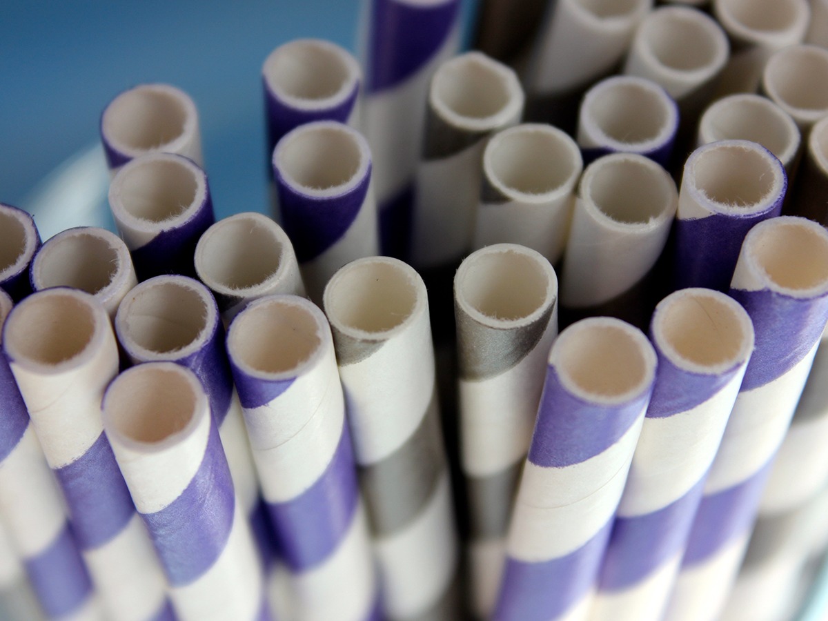 Impacto Ambiental, Económico y Político de la Decisión sobre Popotes de Papel y Plástico en Estados Unidos