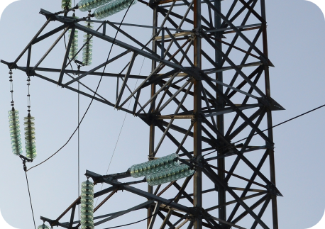 Suministro Calificado