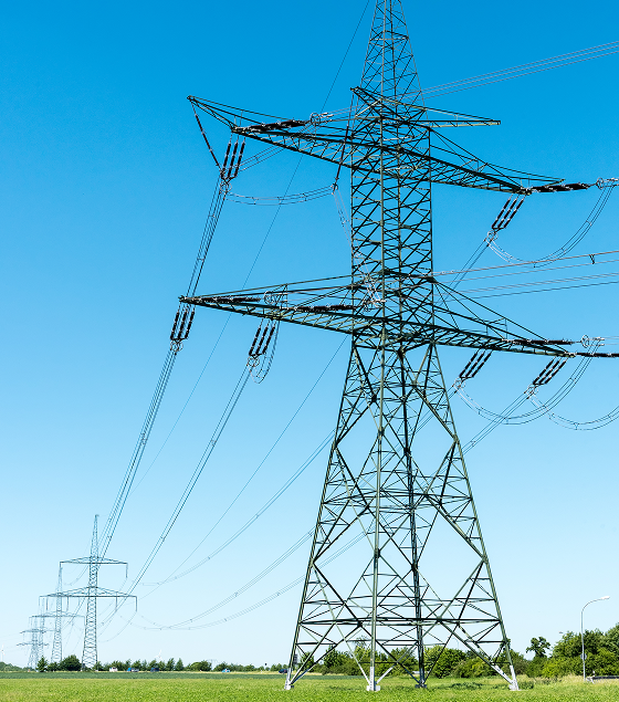 Suministro Calificado